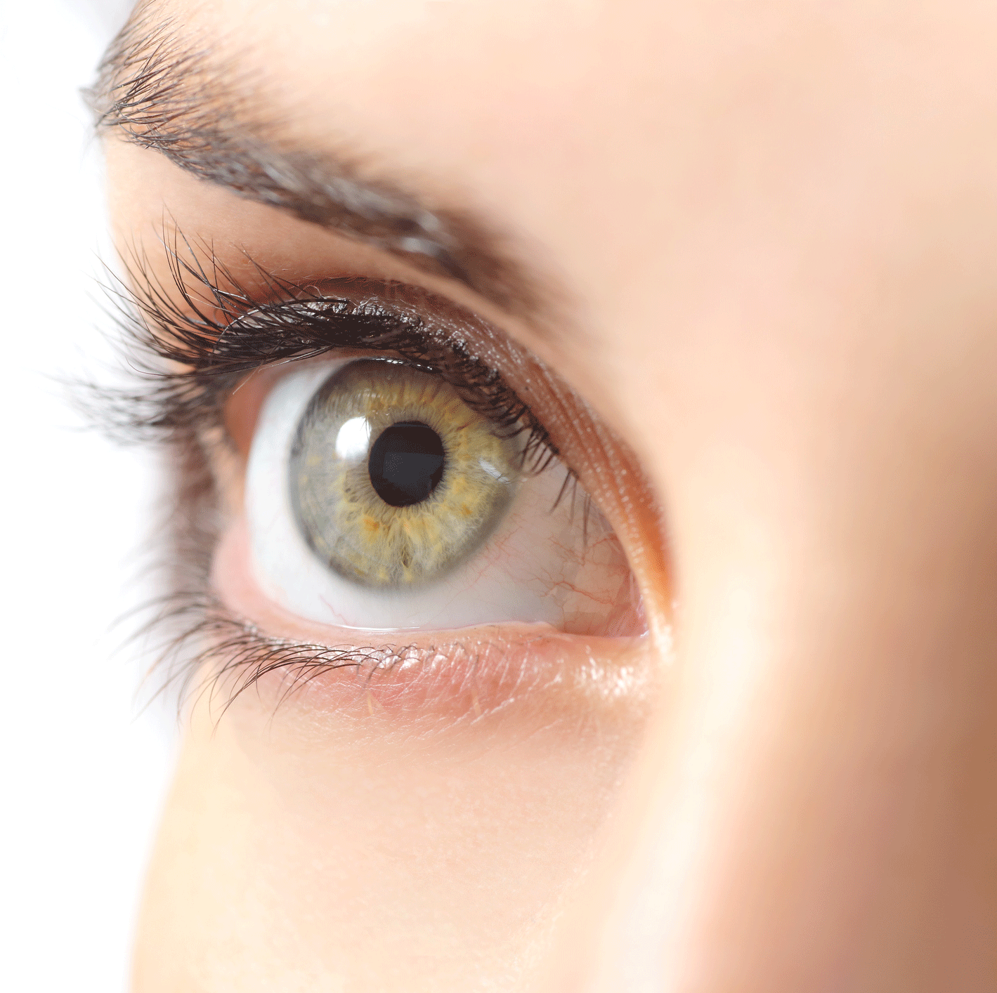 Close up image of an eye